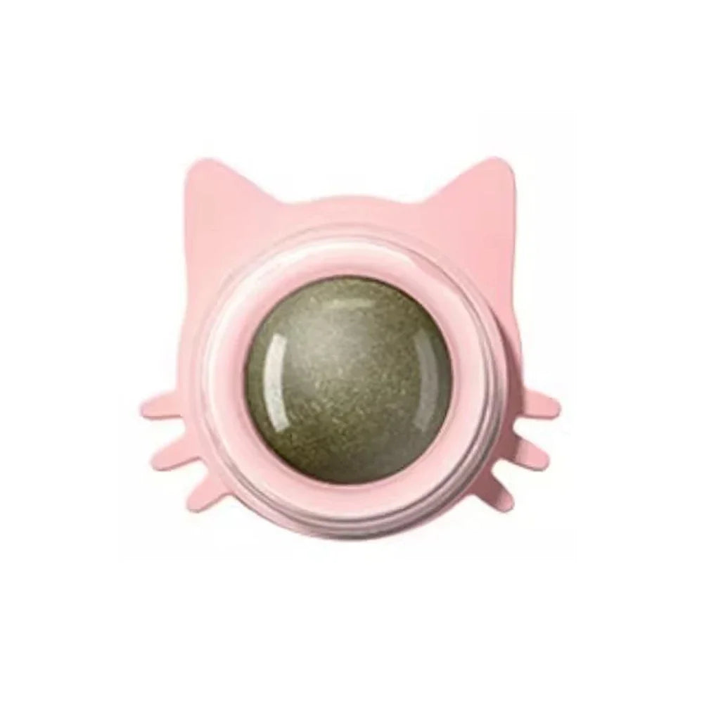 Interactive Catnip Lollipop for Cats – Natural Dental Care Treat on a Stick, Wall-Mountable for Play & Digestive Support