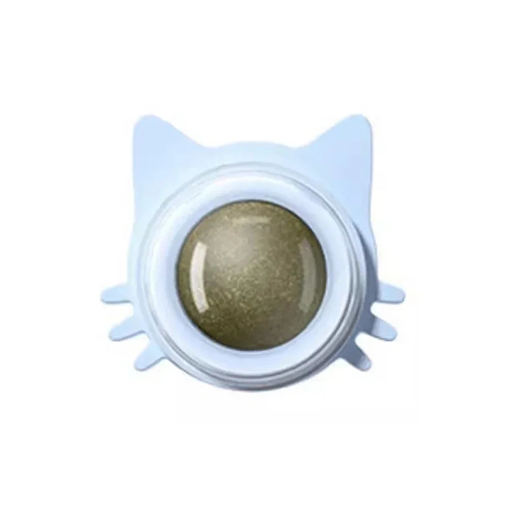 Interactive Catnip Lollipop for Cats – Natural Dental Care Treat on a Stick, Wall-Mountable for Play & Digestive Support