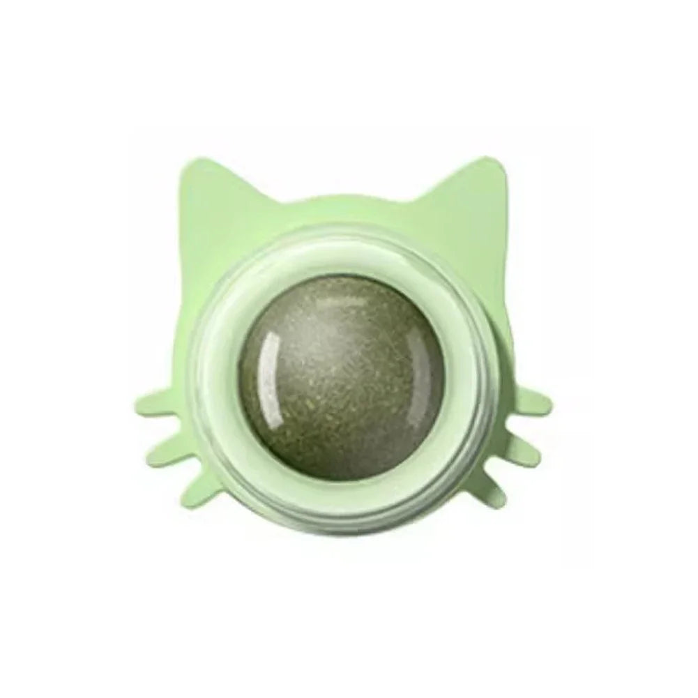 Interactive Catnip Lollipop for Cats – Natural Dental Care Treat on a Stick, Wall-Mountable for Play & Digestive Support