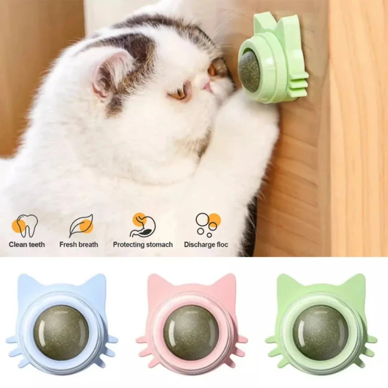 Interactive Catnip Lollipop for Cats – Natural Dental Care Treat on a Stick, Wall-Mountable for Play & Digestive Support