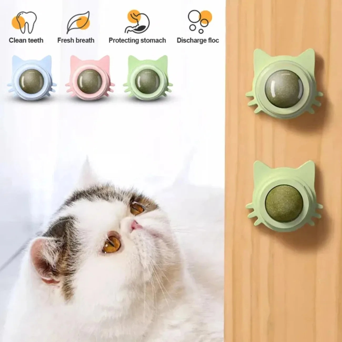 Interactive Catnip Lollipop for Cats – Natural Dental Care Treat on a Stick, Wall-Mountable for Play & Digestive Support